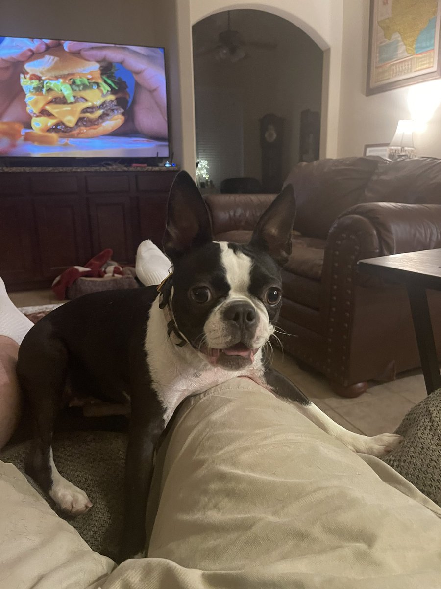 Penny Pie 🌈Stubby & Sugies🌈 tweet media