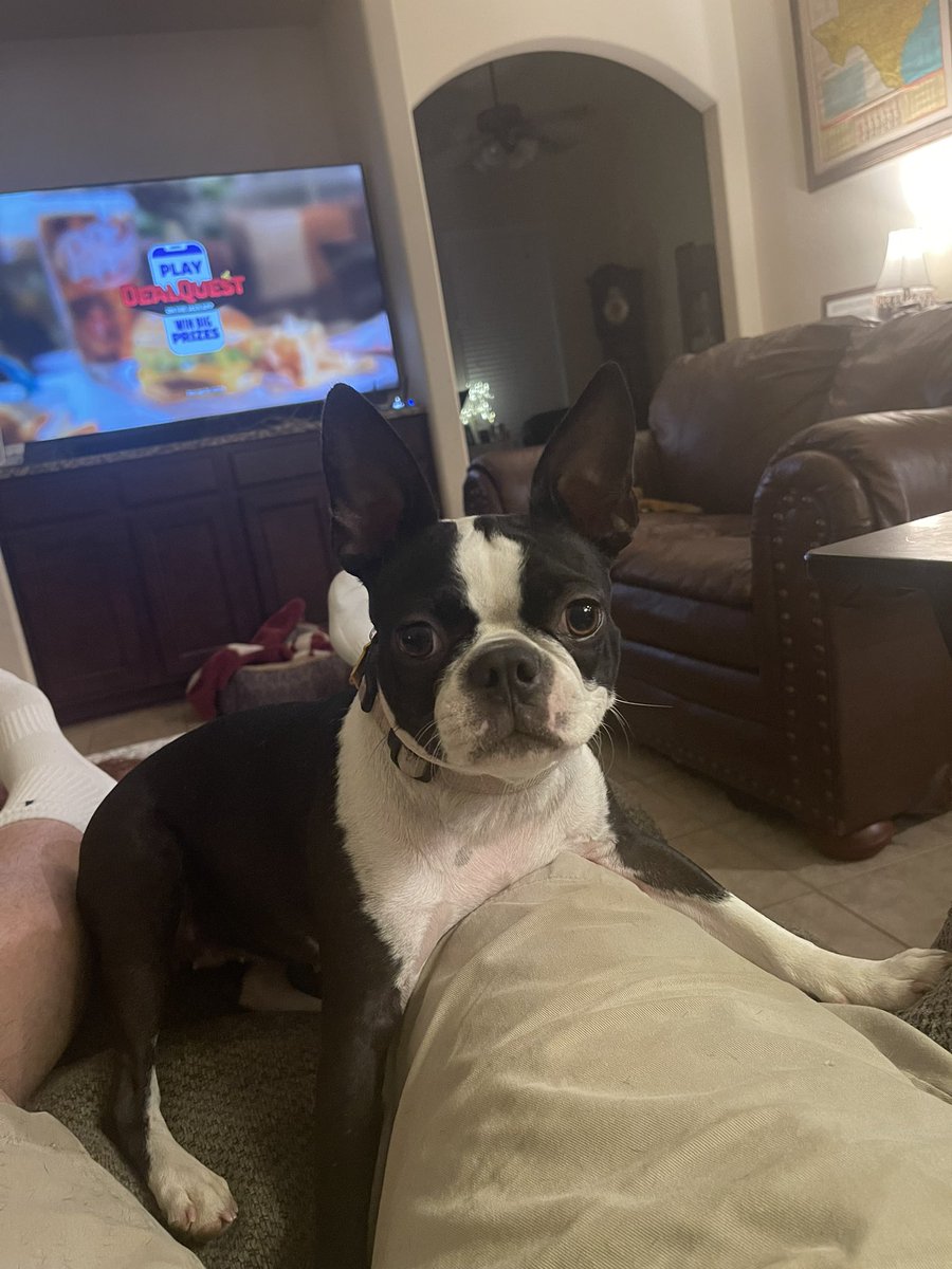 Penny Pie 🌈Stubby & Sugies🌈 tweet media