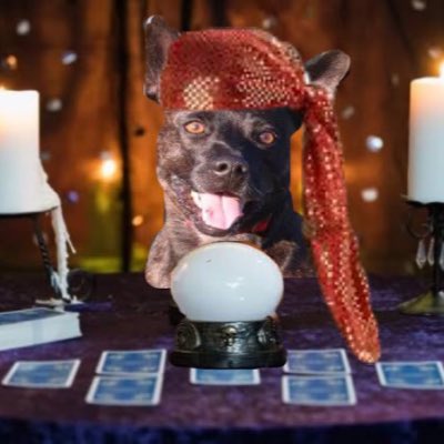 Suzie Q tweet media