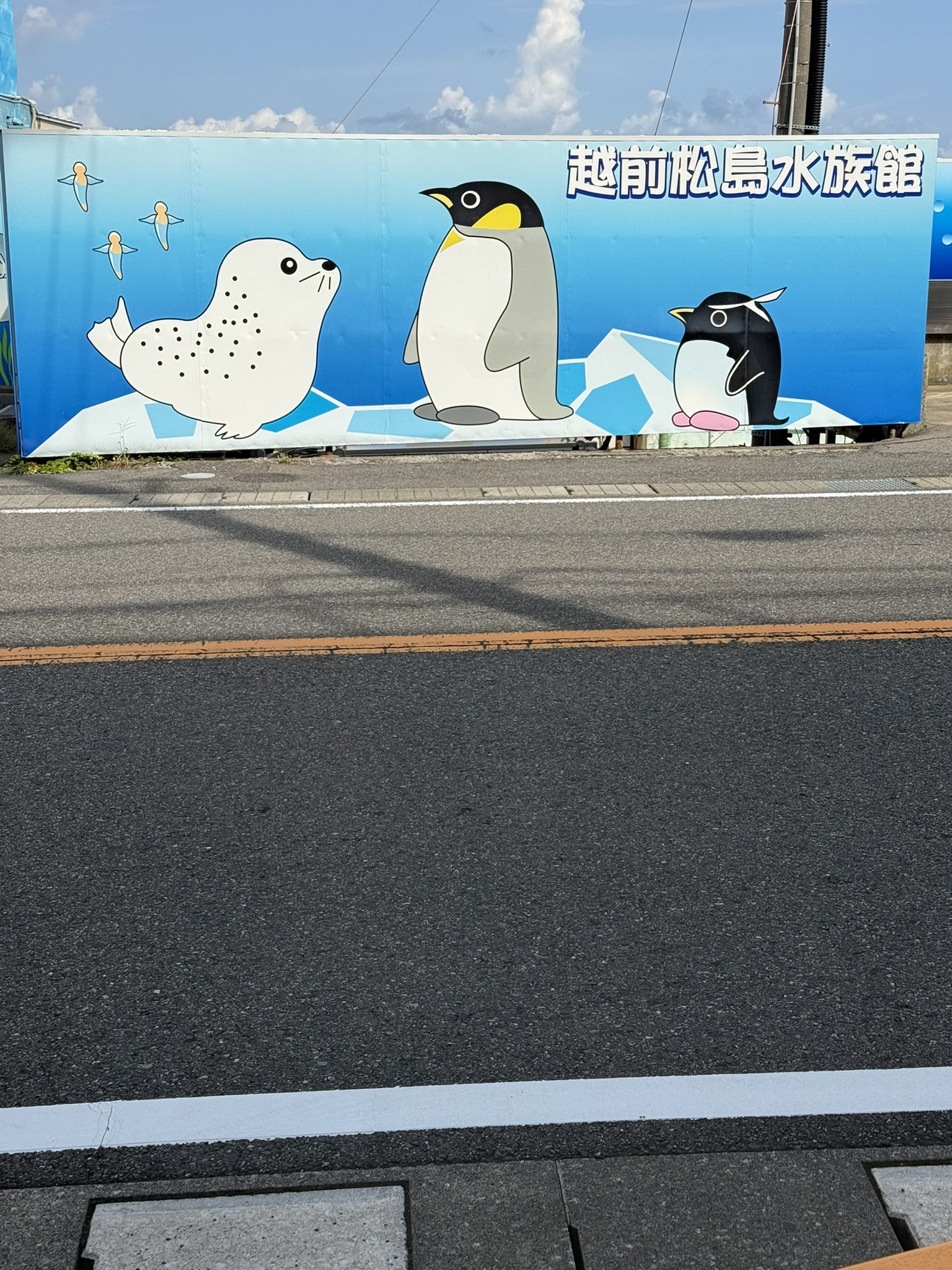 夏♪アザラシ♡プール ∞`⊃)З₊⁎⁺˳✧༚ ふぶき仔に会いに行って来ました！ ぬいぐるみの