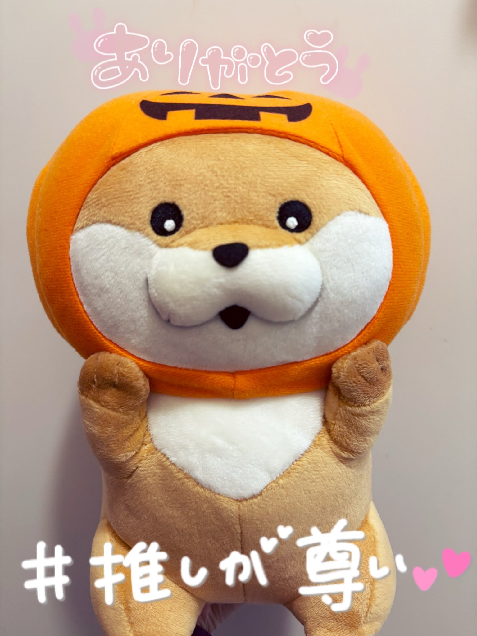 アミューズメント景品 タイトープライズ/グッズ｜株式会社タイトー