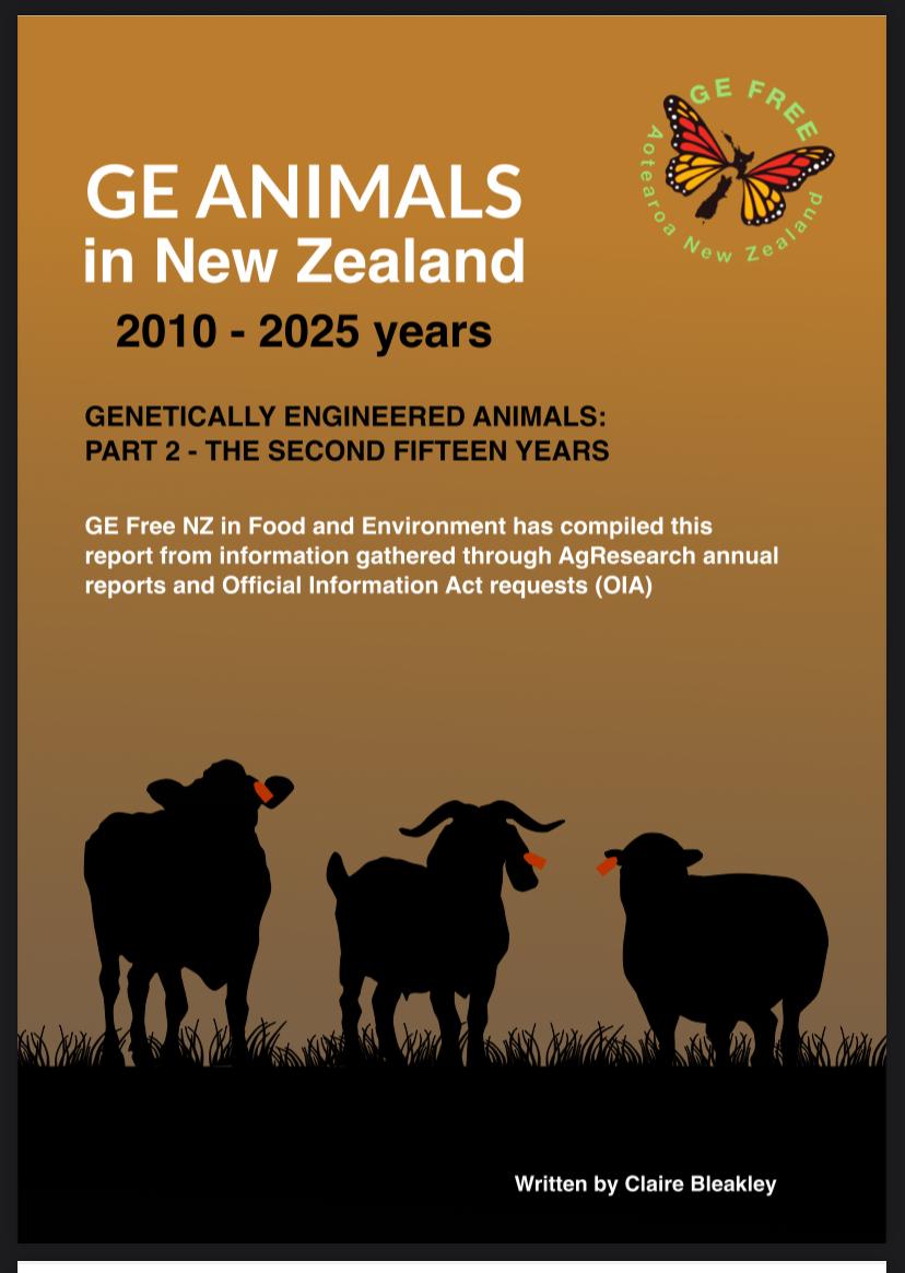 Some good news...... and some bad news. 🙄

For 25 years, animals at AgResearch in New Zealand have been put through GE experiments. Cattle, sheep, goats. Decades of trials, millions in public money. And nothing to show for it.

The reality was brutal: spontaneous abortions,