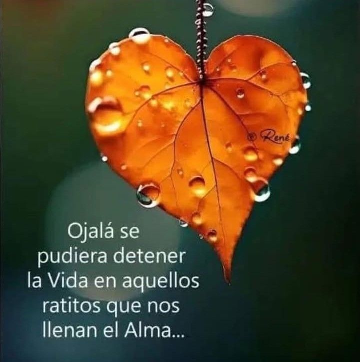 LacrisGg's tweet photo. #BuenosDías 
#FelizJueves
💜⚘️💜
Que paséis un buen día, tarde o noche!!🎶🦋

Ojalá!! 🤭 https://t.co/sf9ZSVF5N0
