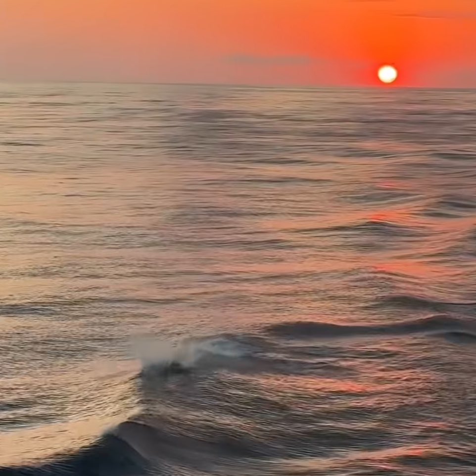 Silenci (@silenciiii) on Twitter photo 