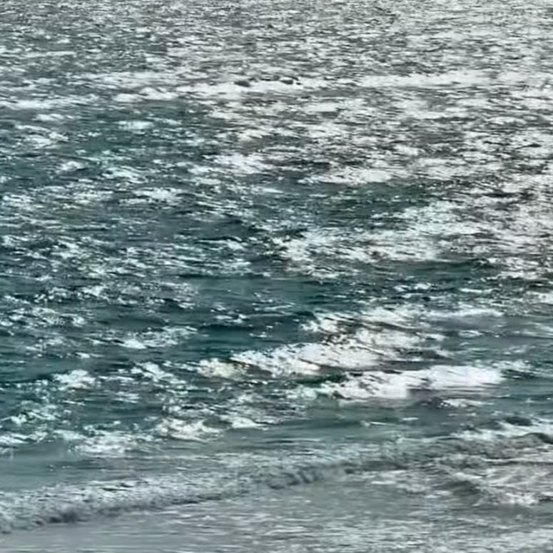 Silenci (@silenciiii) on Twitter photo 