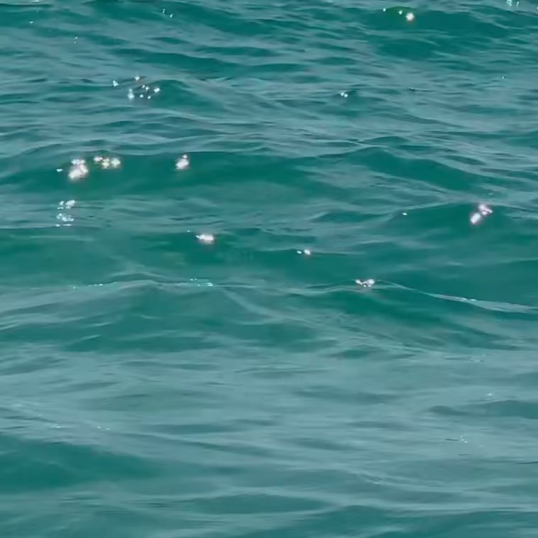 Silenci (@silenciiii) on Twitter photo 