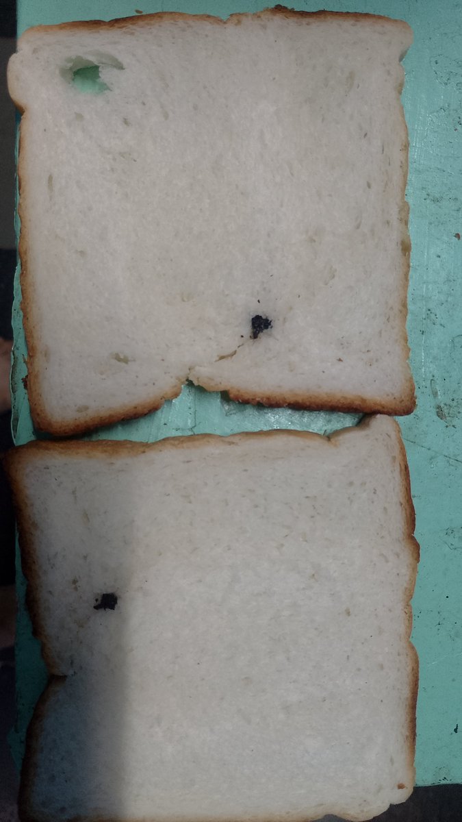 grahammiranda7's tweet photo. Packing sandwiches for my daughters tiffin detecting stones in the bread. 
Would have been consumed by her if I hadn't found. 

These are poison for toddlers. 

Reached out to #bristolbakery #bread lead to no response.

@fssaiindia #bandra @BristolBak https://t.co/24DSV3DuMY