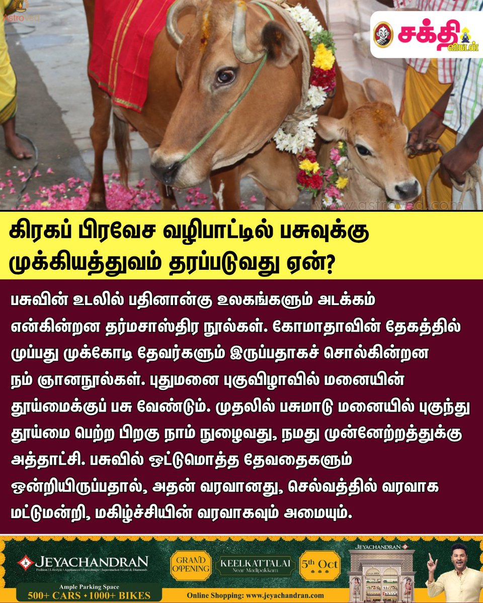 SakthiVikatan's tweet image. கிரகப் பிரவேச வழிபாட்டில் பசுவுக்கு முக்கியத்துவம் தரப்படுவது ஏன்?

#SakthiVikatan | #Komadha