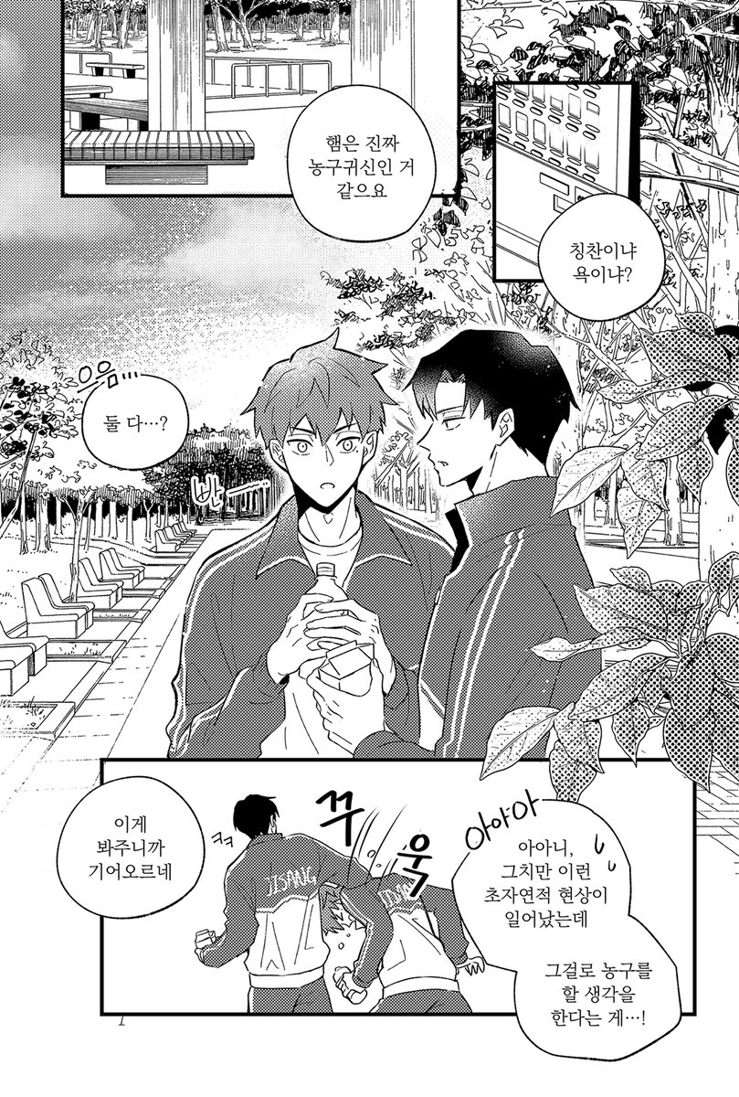시피르/シピル tweet media