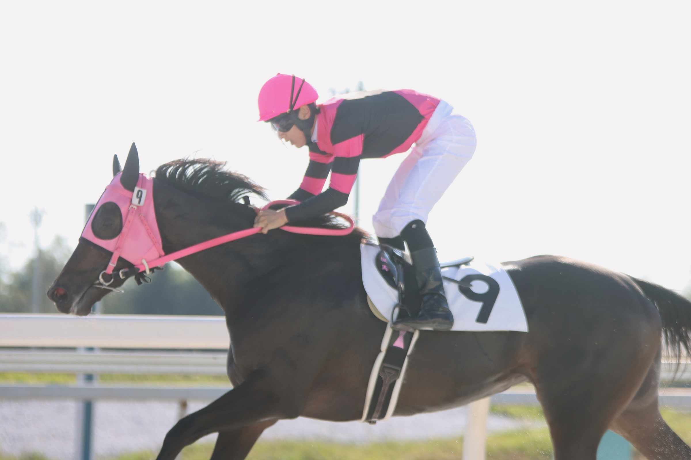 k*様 ウオッカ・アドマイヤムーン 競馬ポスターセット k*様 ウオッカ・アドマイヤムーン 競馬ポスターセット ウオッカ