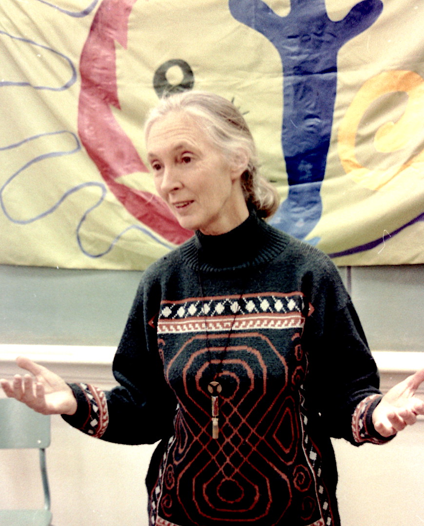 jack9simpson's tweet image. In honour of the passing of Ms./ Dame @janegoodallinst @janegoodallcan .  A few snaps I got of Ms. Goodall at the Kitsilano  @kitsilano_high in the late 80's/early 90's (?)  #janegoodall