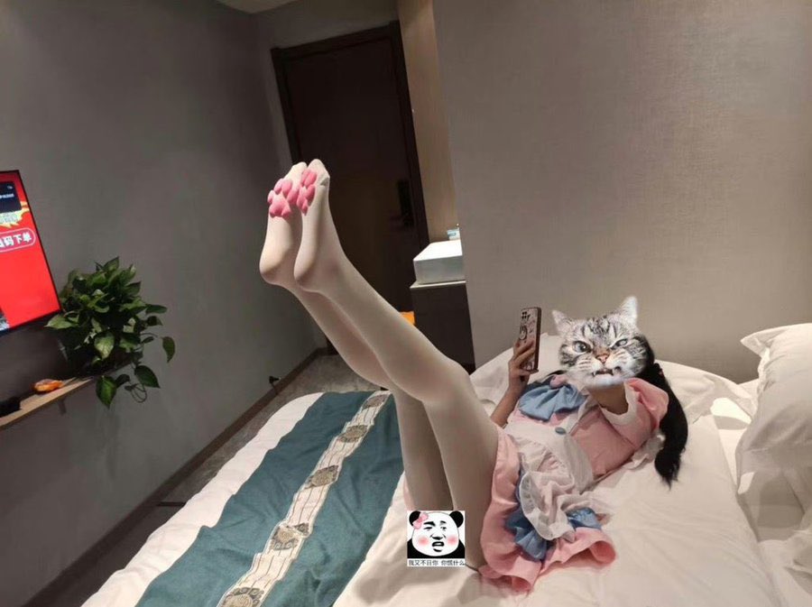 aichidantata's tweet photo. 有没有人来找我玩呀 #岳阳 https://t.co/W27jbwIYtR