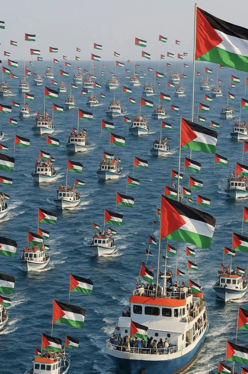 Seni yok sayacaklar, sen daha çok var olacaksın. 

#FreePalestine #GlobalSumudFlotilla #FreeGaza