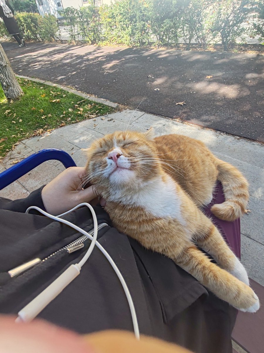 Sevgiyle karşılaşmak böyle hissettiriyor işte