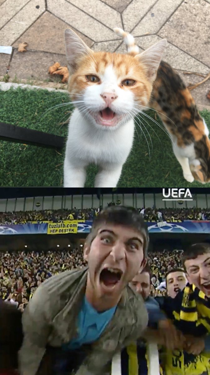 fıtrat değişir sanma bu kan yine o kandır
<a href="/ChampionsLeague/">UEFA Champions League</a> <a href="/Fenerbahce/">Fenerbahçe SK</a> ❤️‍🩹