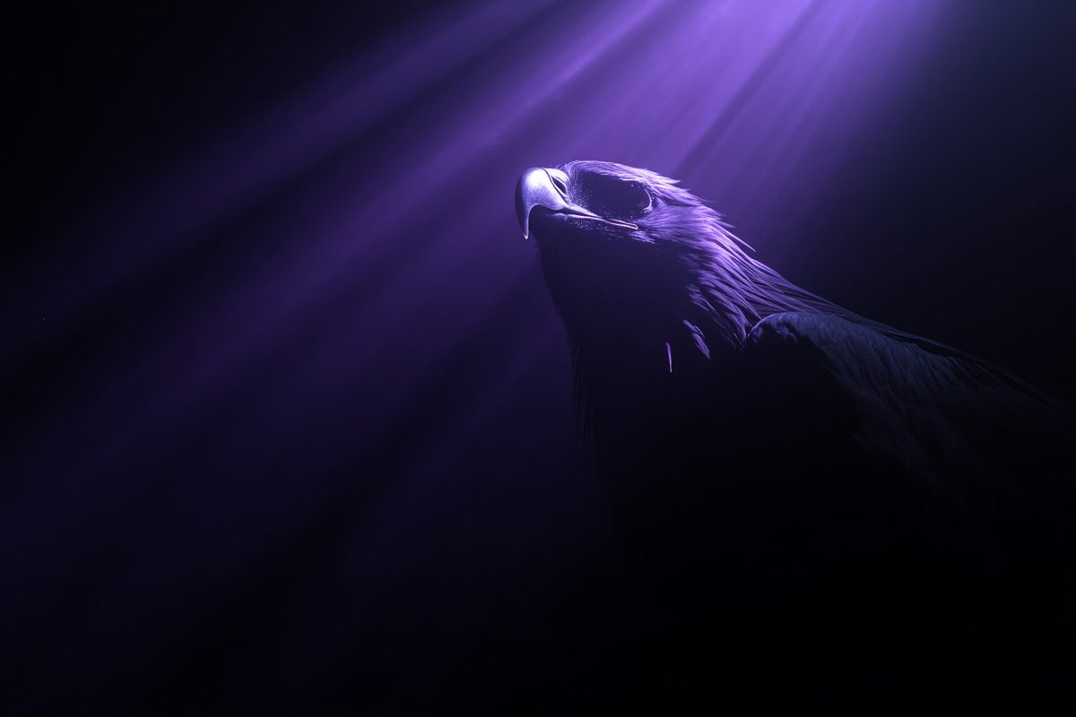 LudovicCreator's tweet image. 🎨 OBSCURED BY LIGHT 🎨

Prompt  :

[SUBJECT] Obscured by Light. The subject is almost entirely hidden by an overwhelming light source, with only its edges and faint details visible. Employ [COLOR1] and [COLOR2] to define the blinding light

Check ALTS