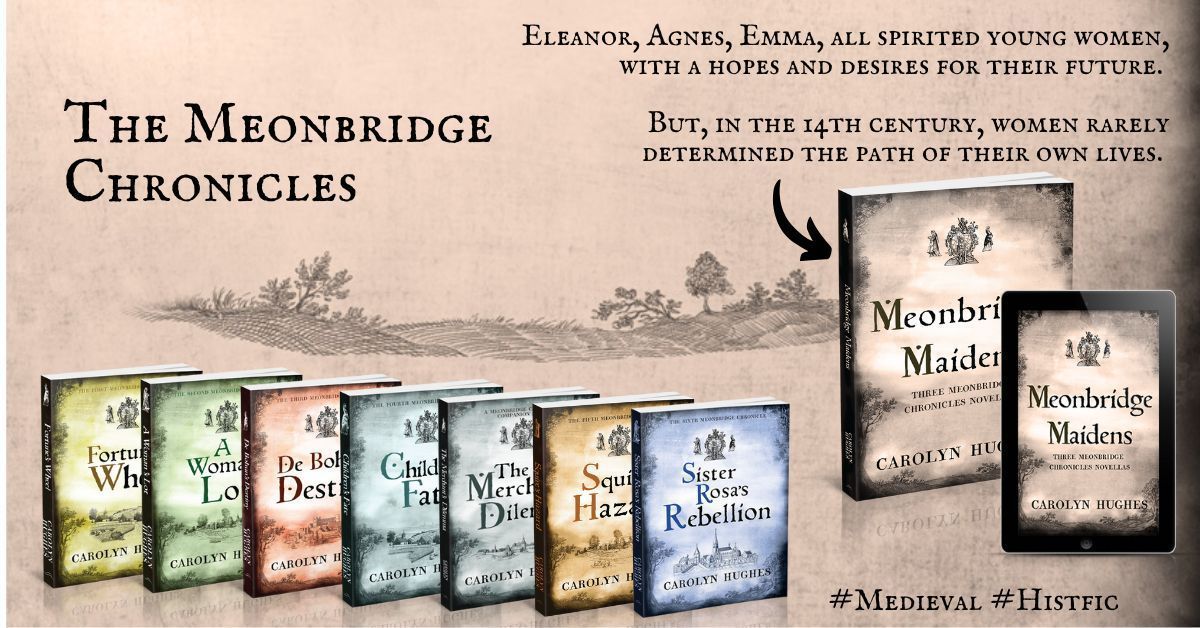“I love reading these stories that take me back to Meonbridge… wonderful characters” Amazon reviewer

MEONBRIDGE MAIDENS, Three Meonbridge Chronicles novellas 
#Kindle #KU #Paperback

mybook.to/fJY8