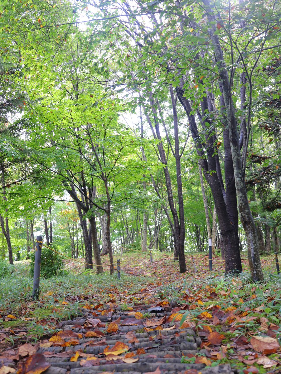 コタンの森 ゆこたんの森【岩手 雫石 南網張ありね 温泉】 on X