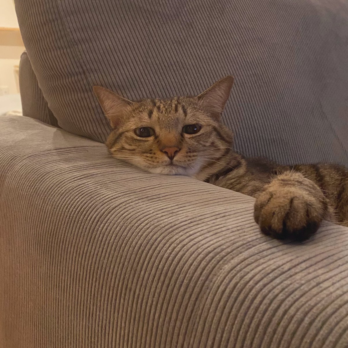 keigo (@k5fuwa) / Posts / X