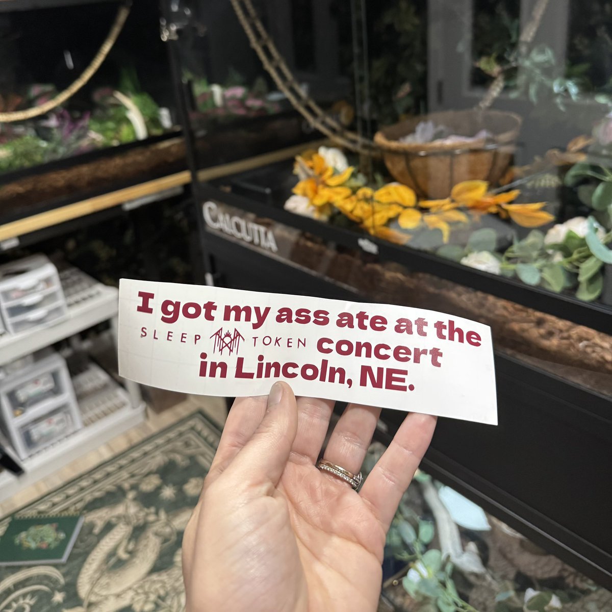 Bootytoots tweet media