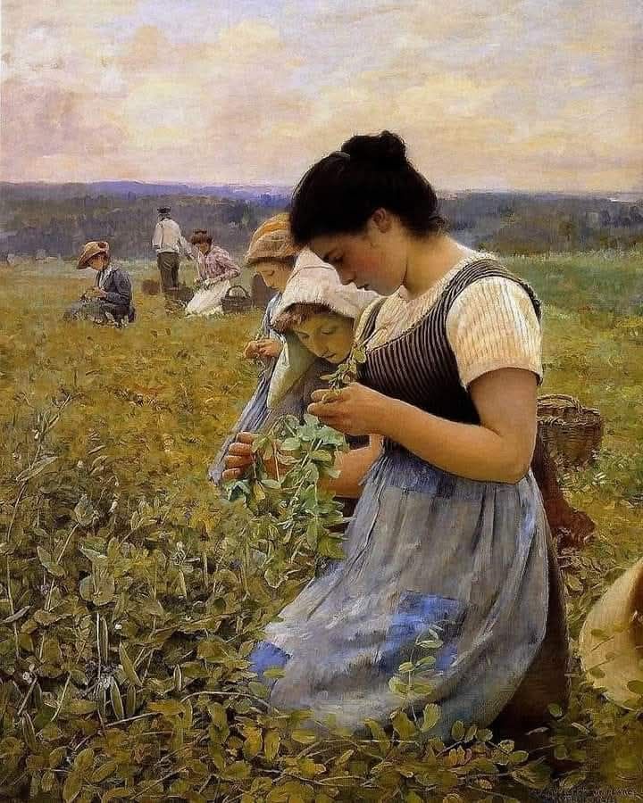 Angela Arte tweet media