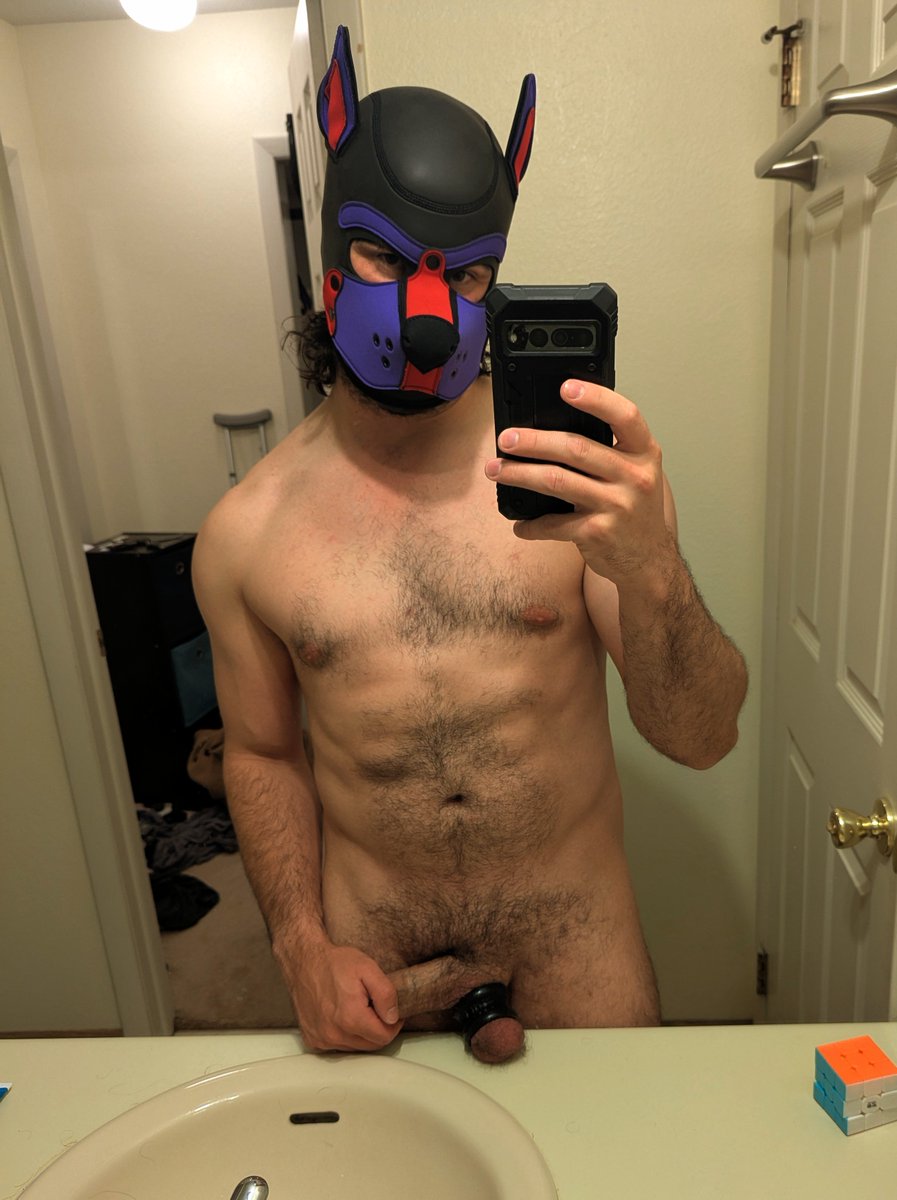 Pup Fuze tweet media