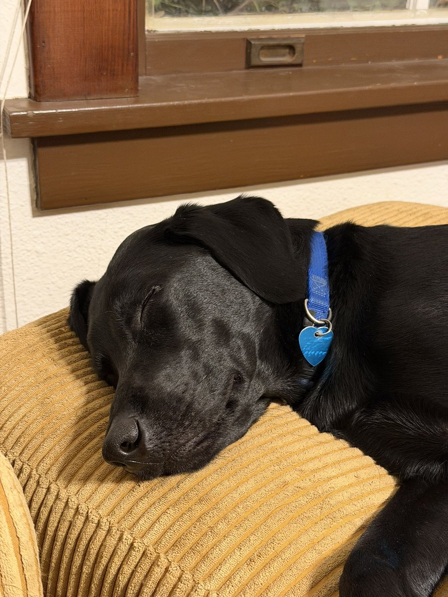 So tired and my peoples don’t want to go to bed yet.