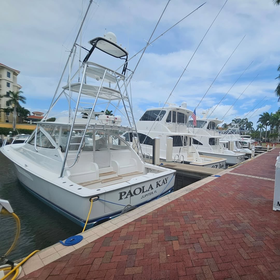 Emily Marcolini (@emskirunner) on Twitter photo 