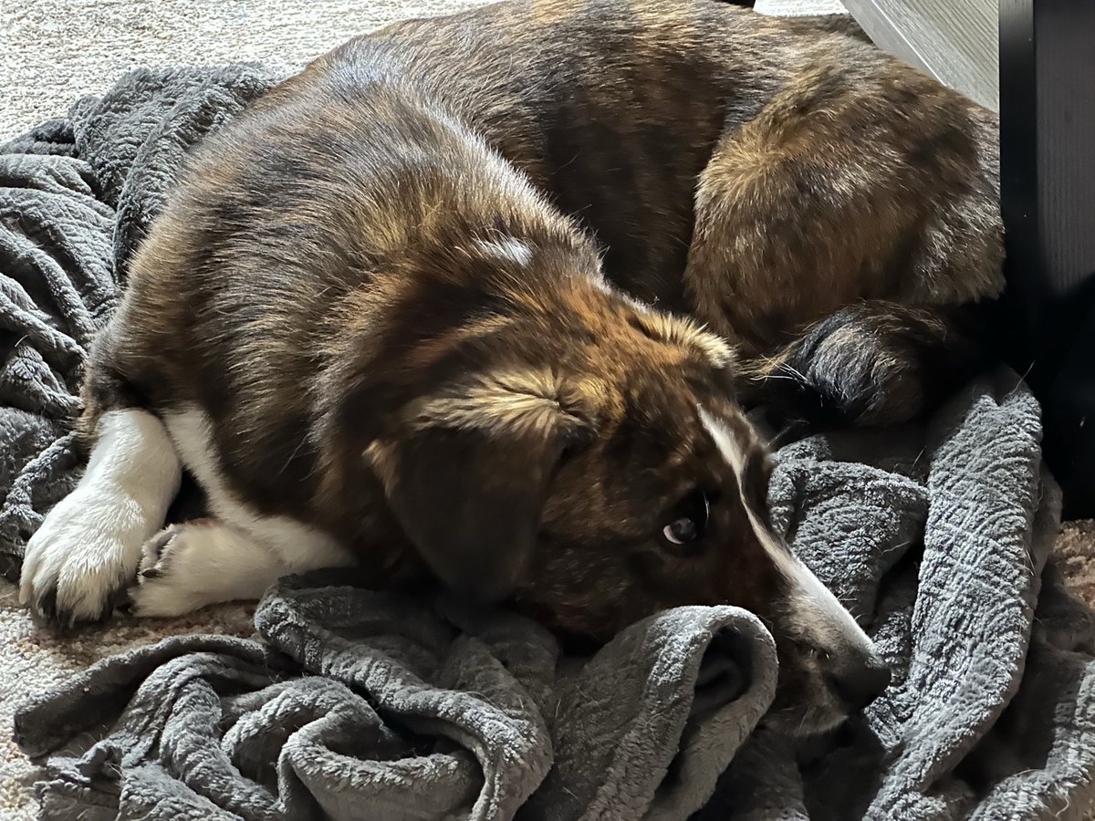 Ugh, Mom, the timeline’s on fire *again?*