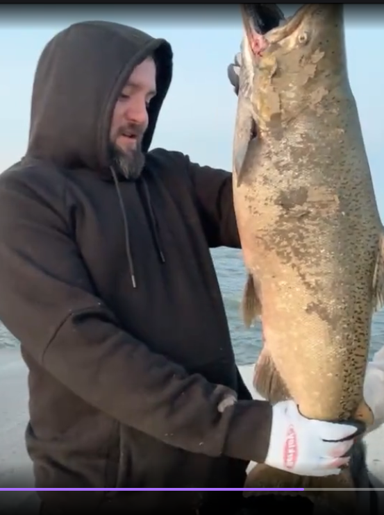 FLC GUNNER tweet media