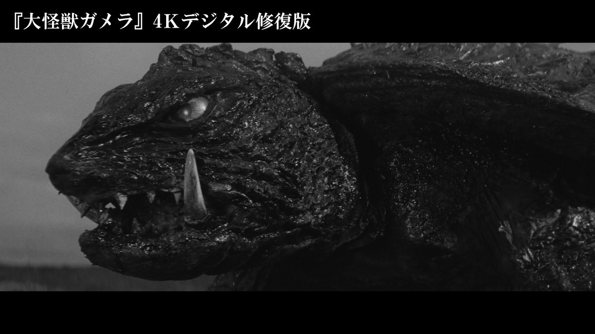 公式】ガメラ生誕60周年プロジェクト on X