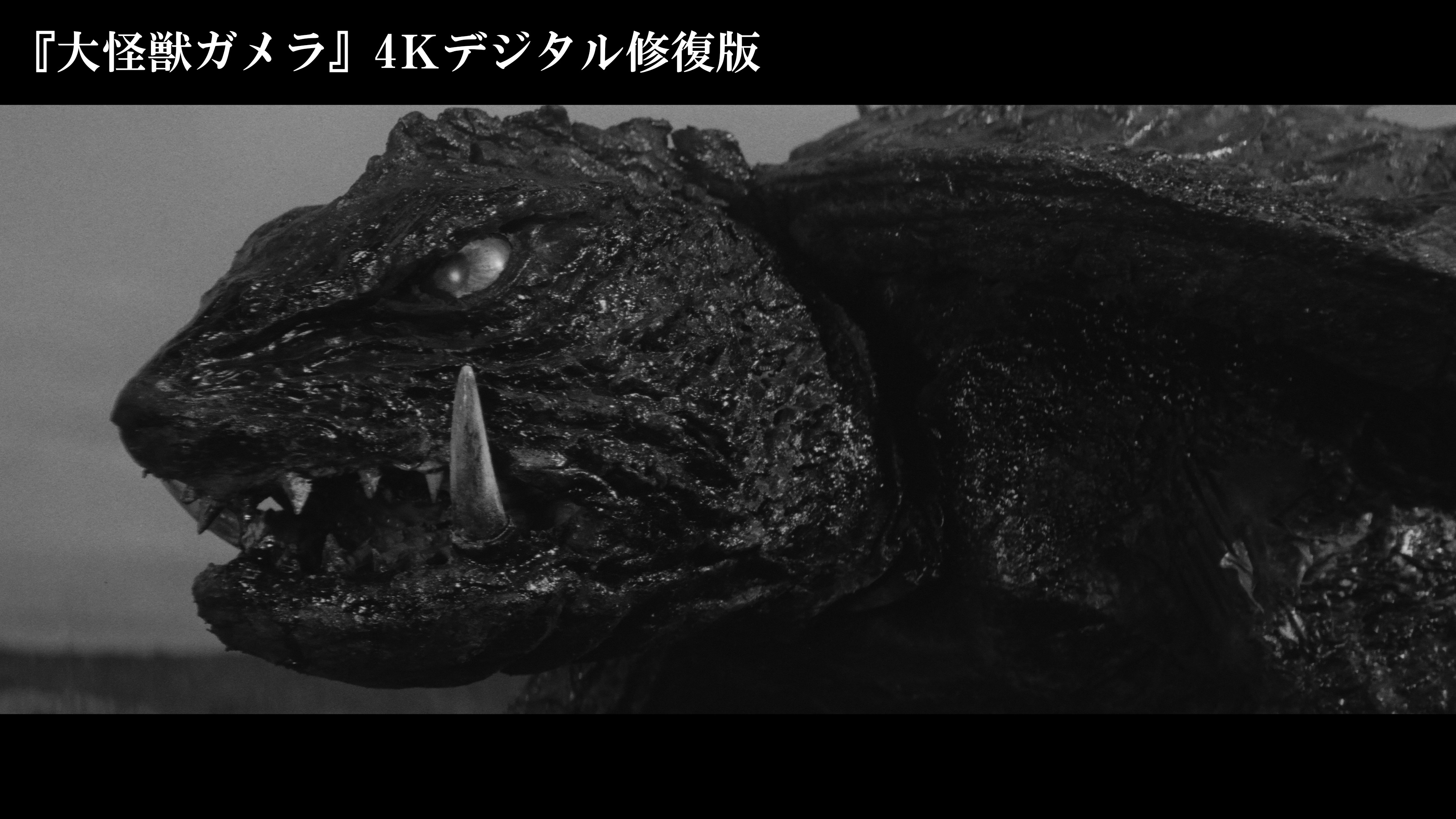 ウルトラマン　怪獣　ガメラ ガメラ生誕60周年プロジェクト｜KADOKAWA