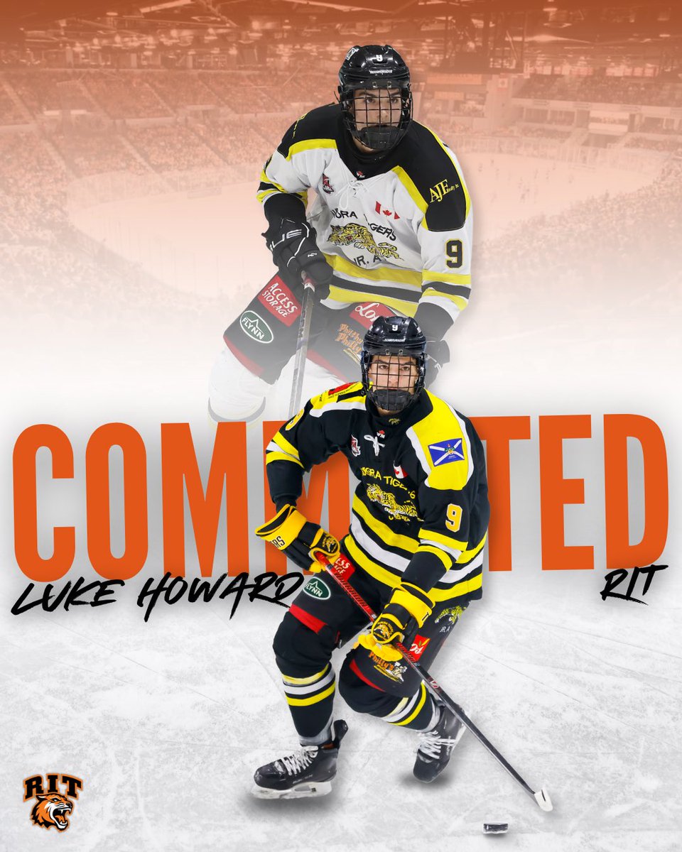 Serpa Automotive Aurora Tigers tweet media