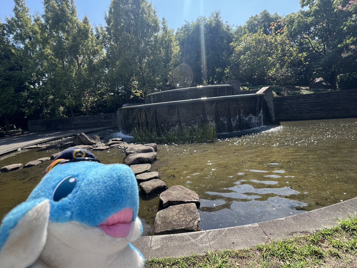 りんかるだよ🐬 三船栞子ちゃん、お誕生日おめでとう！㊗️🎉 真っ直ぐ