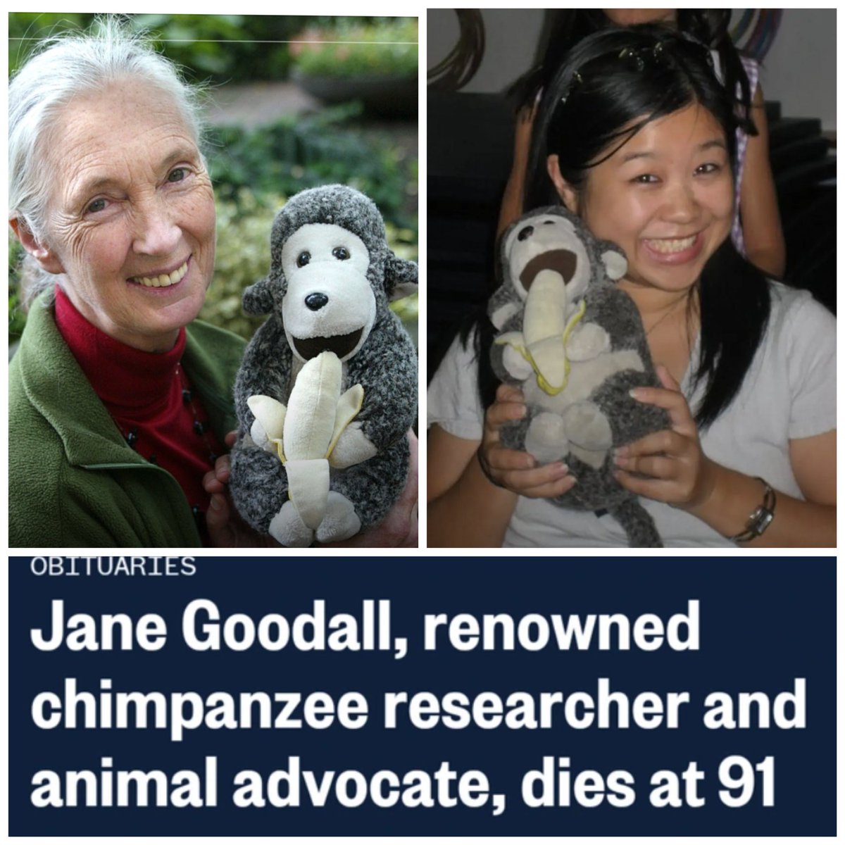 Ms.D.Lo 🍁 tweet media