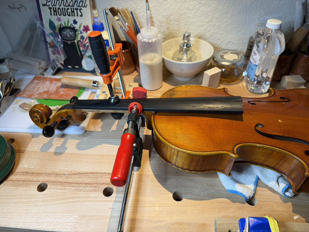 Sarah Harris tweet media