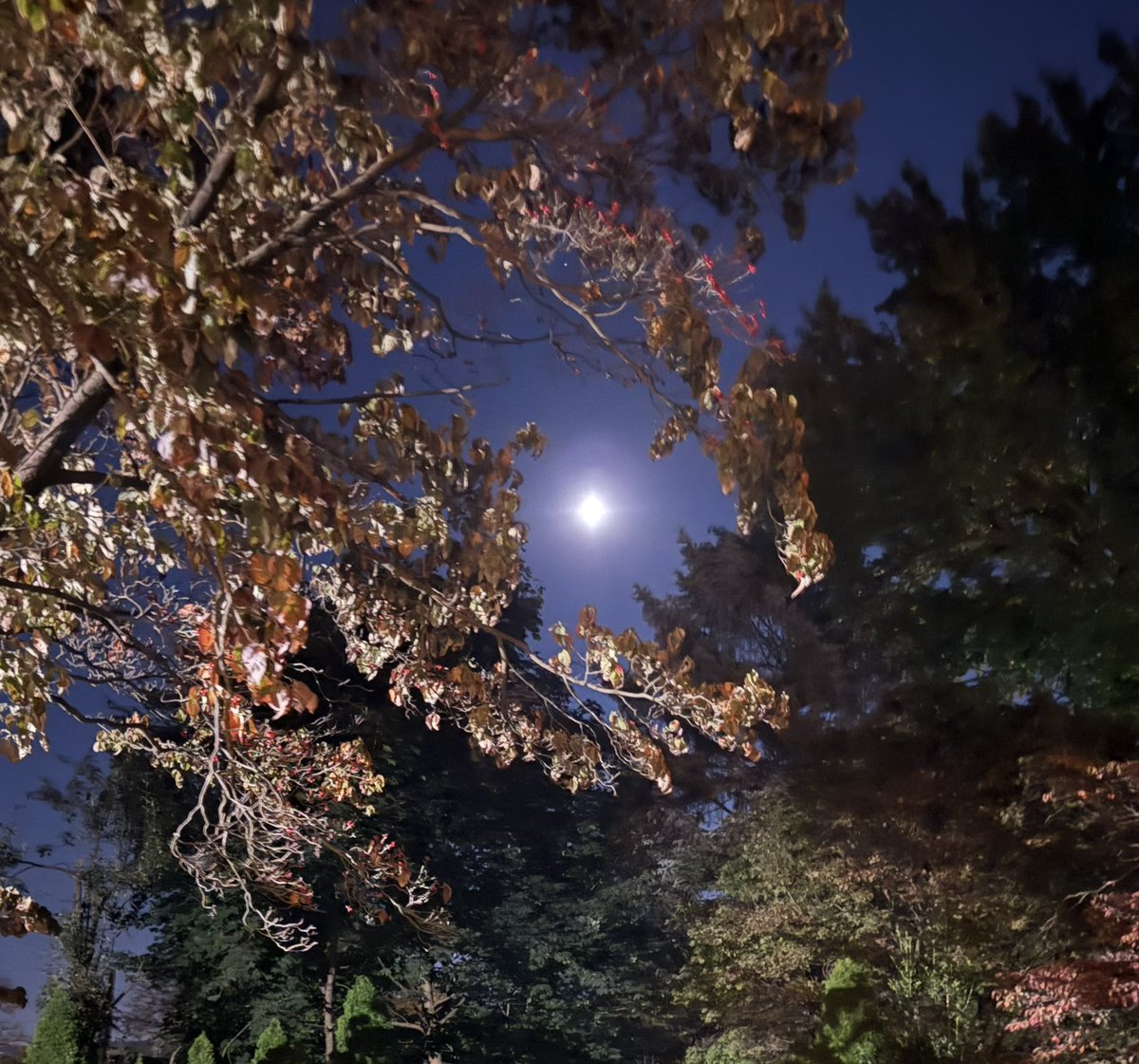 Goodnight pals! The world lost a good one. Enjoy the moon and say hi to the others who see the moon too!