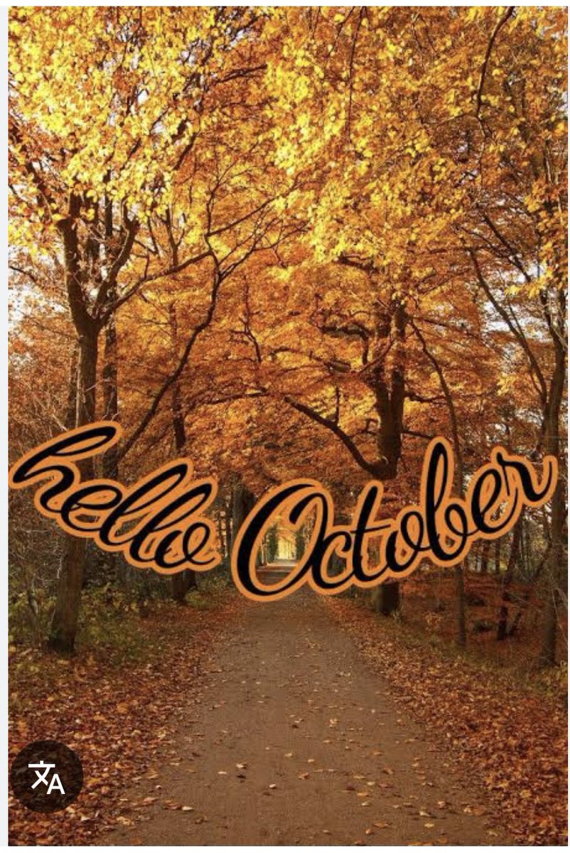 Flygemini_'s tweet image. #HelloOctober