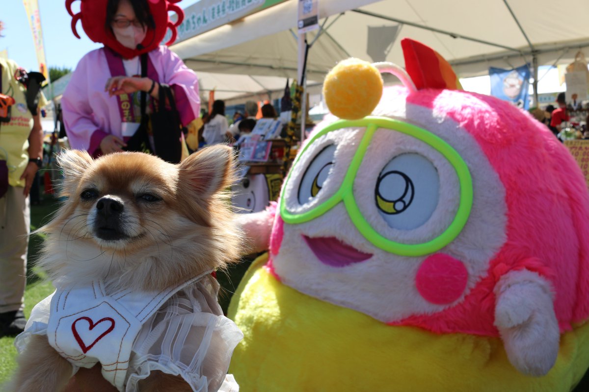 27_Kin_tw's tweet photo. ご当地キャラカーニバルinぐんま2025
優しくて楽しいゆるキャラさんが大集結！
プク丸ちゃん・呉氏いつもありがとう♪

#ご当地キャラカーニバルinぐんま2025
#プク丸
#カニ子隊長
#呉氏 https://t.co/SckQnJWO7z
