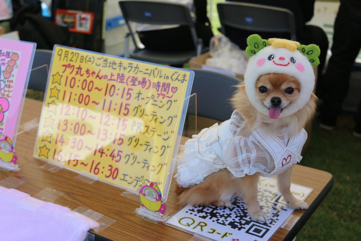 27_Kin_tw's tweet photo. ご当地キャラカーニバルinぐんま2025
優しくて楽しいゆるキャラさんが大集結！
プク丸ちゃん・呉氏いつもありがとう♪

#ご当地キャラカーニバルinぐんま2025
#プク丸
#カニ子隊長
#呉氏 https://t.co/SckQnJWO7z