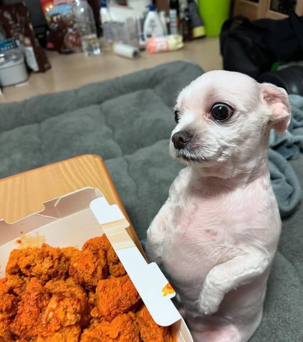 twaniimals's tweet image. 