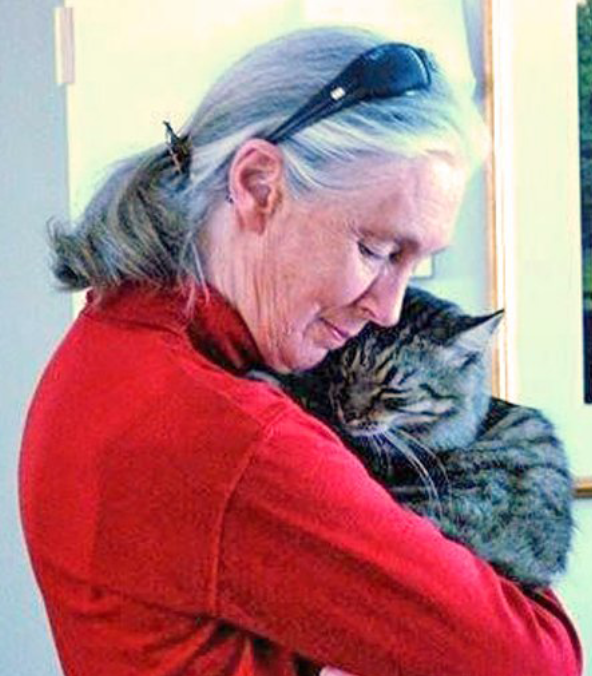 RIP Ms Goodall.😿

[Credit: instagram.com/p/DPR4FatjHtR/]