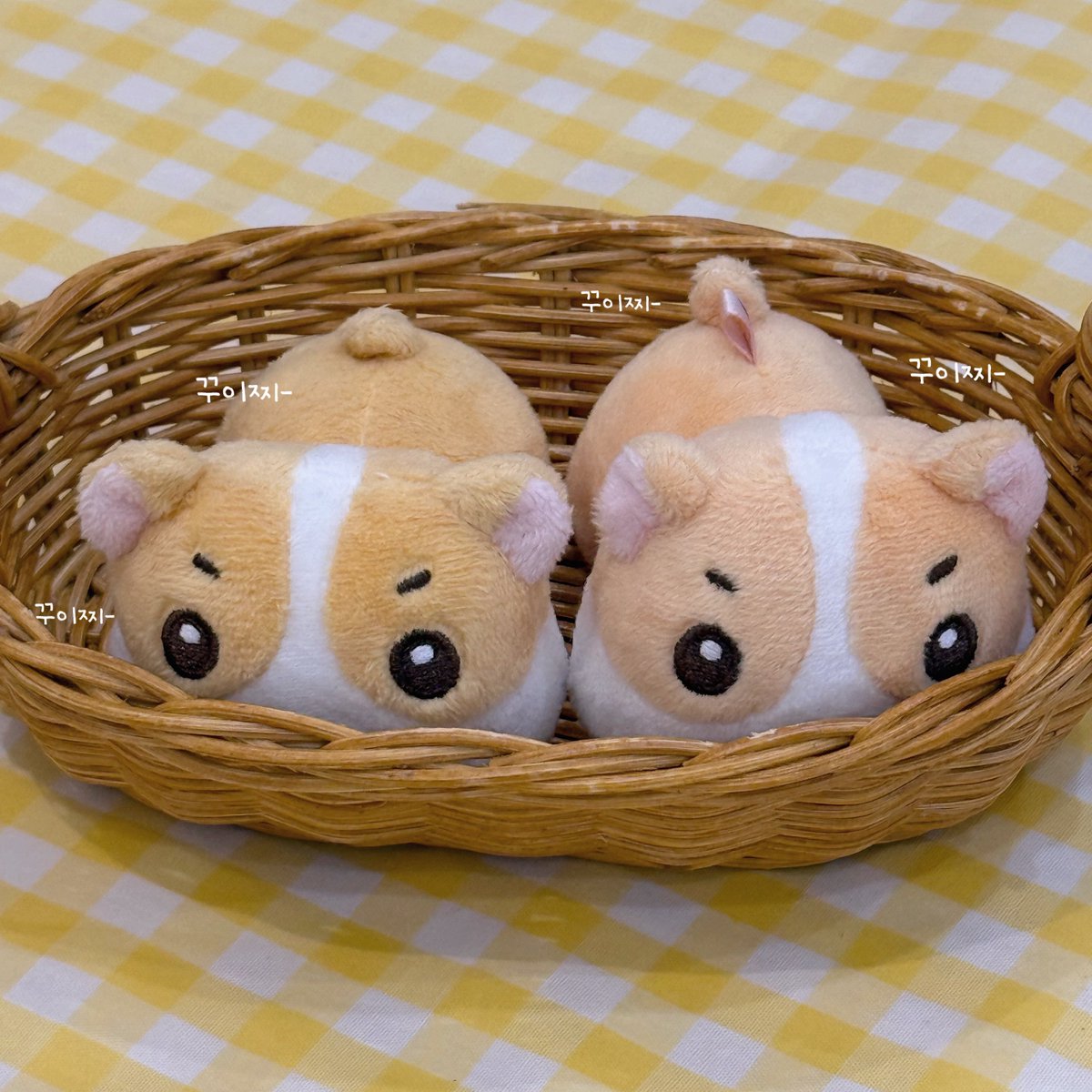 춘기닝 tweet media