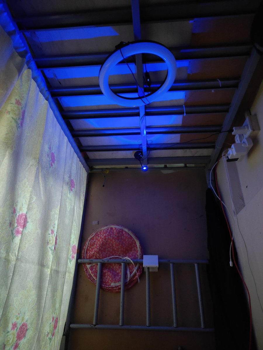 ansif_pkd tweet media