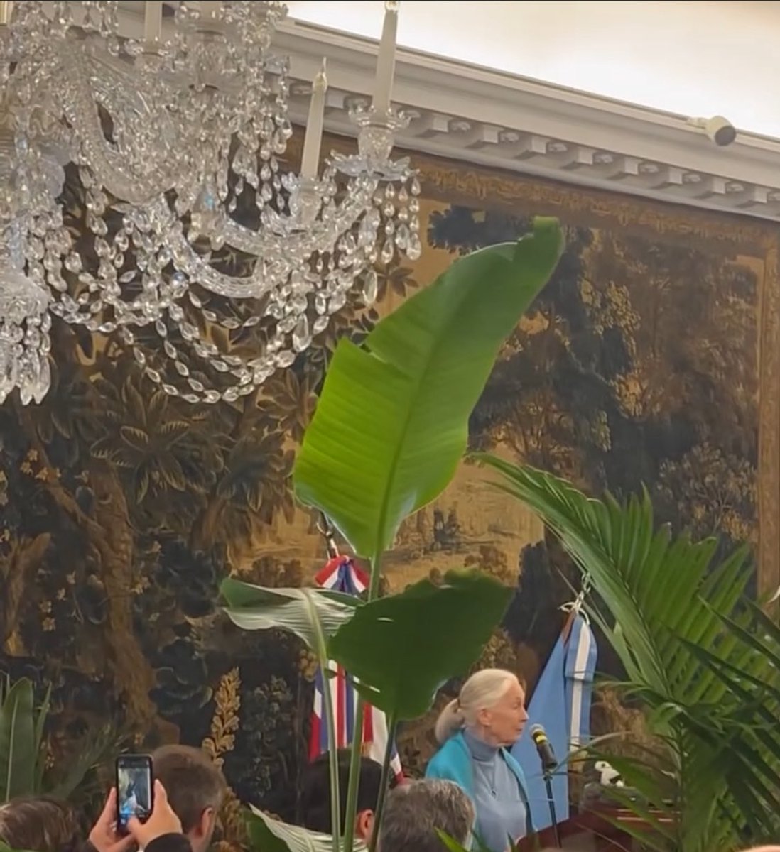 Jane Goodall  te has ido qué tristeza... gracias por todo lo que nos has enseñado y gracias <a href="/UKinArgentina/">Embajada Británica en Argentina</a> por haberme invitado a una experiencia inolvidable #JaneGoodall  <a href="/JaneGoodallInst/">Dr. Jane Goodall & the Jane Goodall Institute</a> <a href="/JaneGoodallEspa/">Jane Goodall España</a> <a href="/JaneGoodallArg/">Jane Goodall Arg</a>