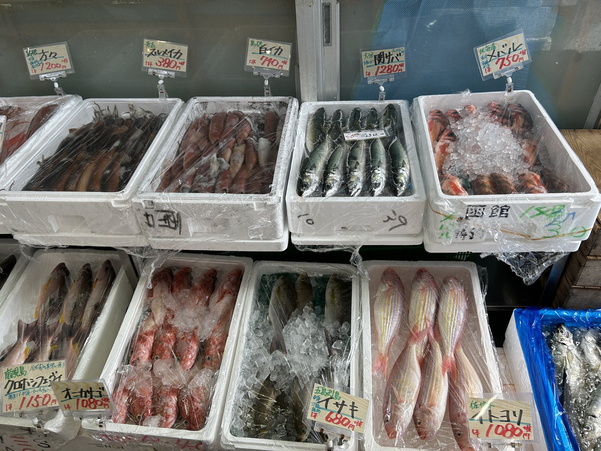 さかなやさん さかな屋さんの居酒屋さん - なんば（大阪メトロ）/海鮮 | 食べログ