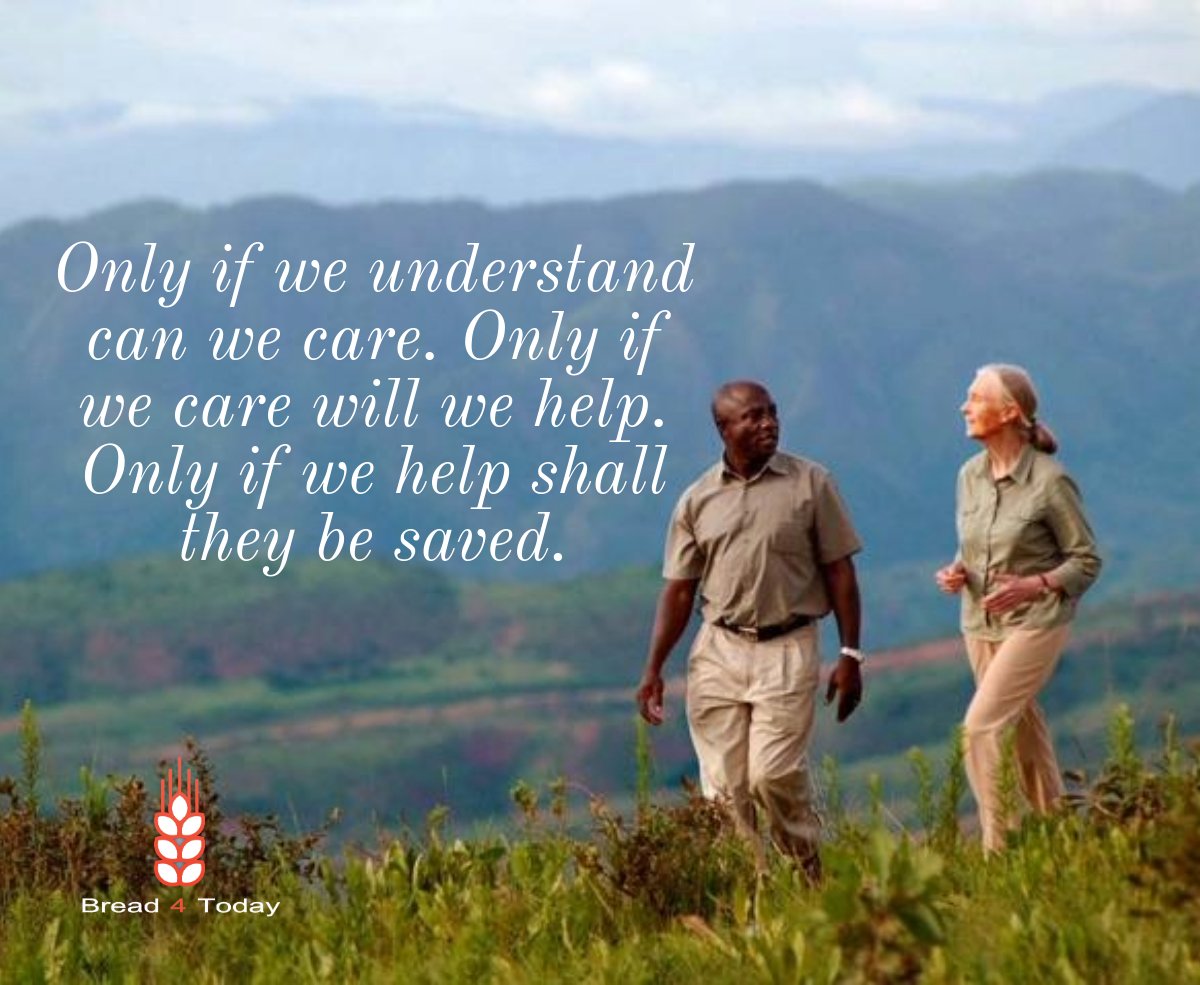 Bread 4 Today (@bread4today) on Twitter photo Today we mourn the loss of Jane Goodall (1934–2025), a life lived in deep communion with creation, reminding us that we are not separate from the earth, but woven into its story.
May her legacy inspire us in our work at Bread 4 Today to steward soil, nurture life, and speak for Today we mourn the loss of Jane Goodall (1934–2025), a life lived in deep communion with creation, reminding us that we are not separate from the earth, but woven into its story.
May her legacy inspire us in our work at Bread 4 Today to steward soil, nurture life, and speak for