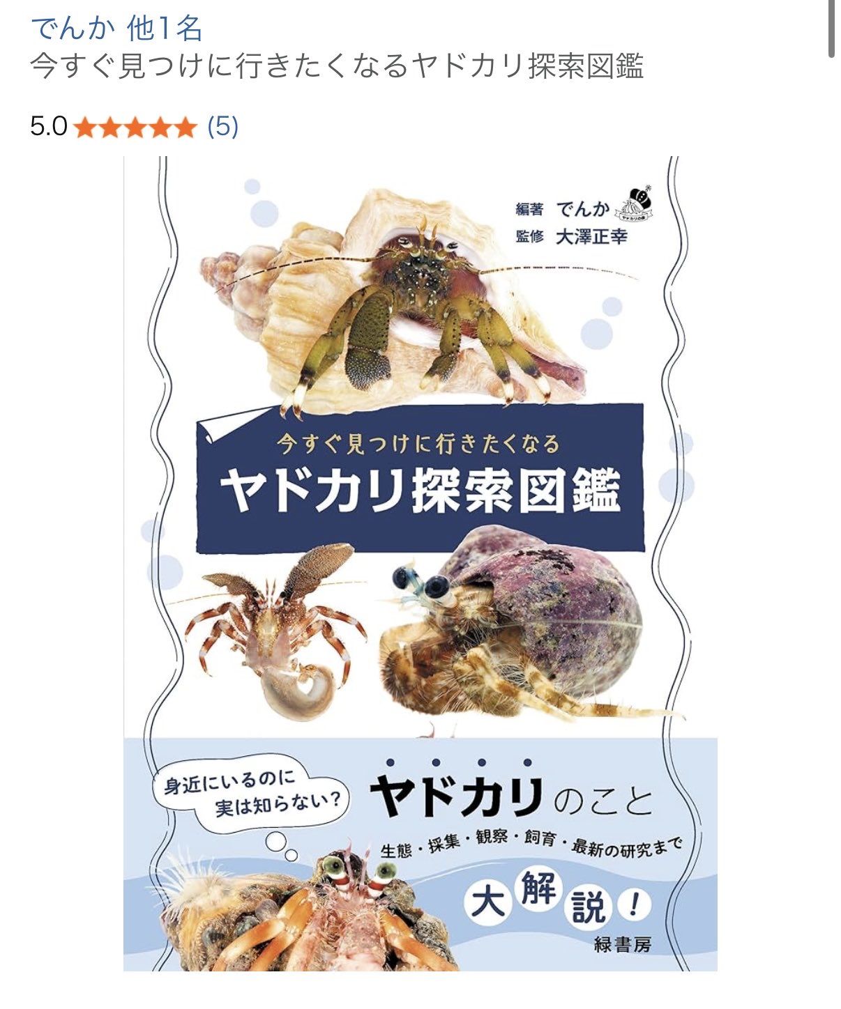獣医内科学 大動物編　小動物編 獣医内科学 第2版 小動物編