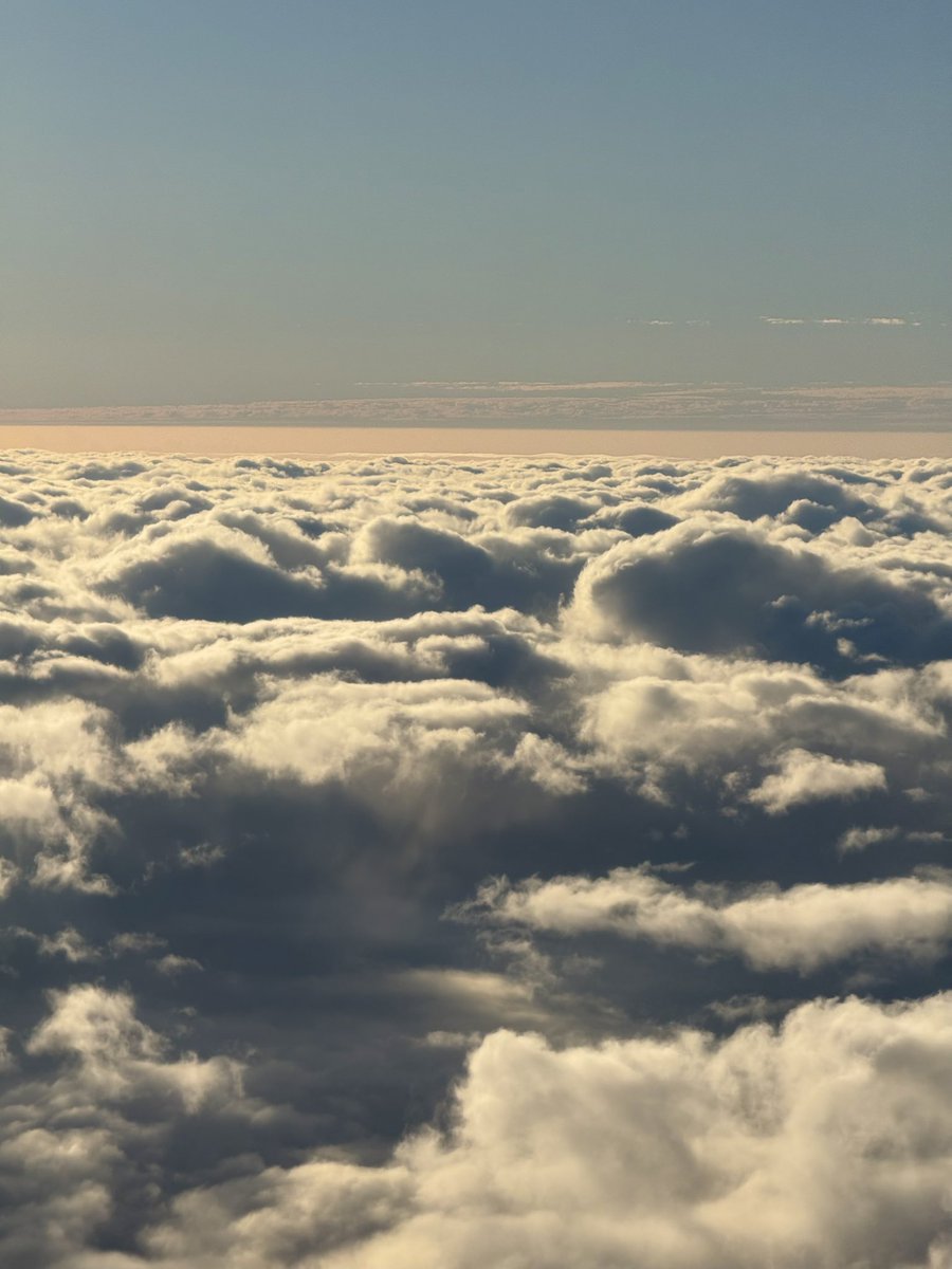 Dougie Kass Private tweet media