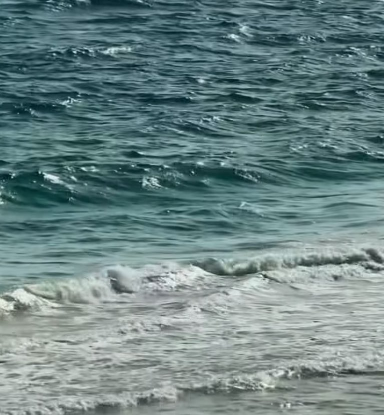 Silenci (@silenciiii) on Twitter photo 